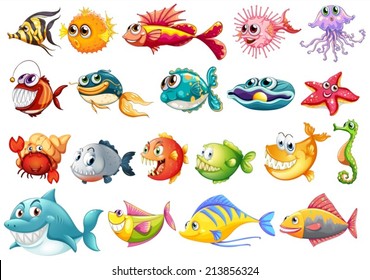 Illustration different kinds fish