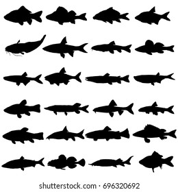 Fishes Silhouettes Fish Different Shapes Isolated Stock Vector (Royalty ...