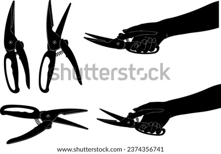 Illustration of different kitchen scissors isolated on white