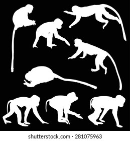 illustration with different monkey silhouettes isolated on black background