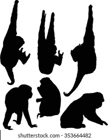 illustration with different monkey silhouettes isolated on white background