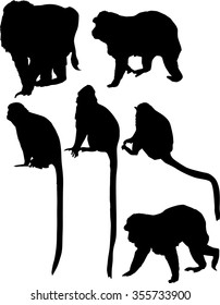 illustration with different monkey silhouettes isolated on white background