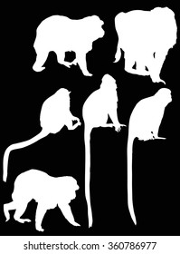 illustration with different monkey silhouettes isolated on black background