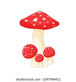 Illustration of different mushrooms amanita of different shapes. Vector mushrooms in cartoon style. Isolated on white background