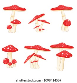 Illustration of different mushrooms amanita of different shapes. Vector mushrooms in cartoon style. Isolated on white background