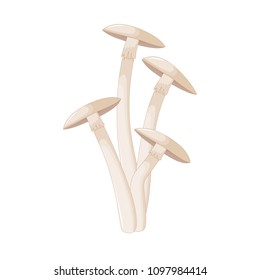 Illustration of different mushrooms champignon of different shapes. Vector mushrooms in cartoon style. Isolated on white background