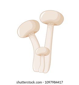 Illustration of different mushrooms champignon of different shapes. Vector mushrooms in cartoon style. Isolated on white background