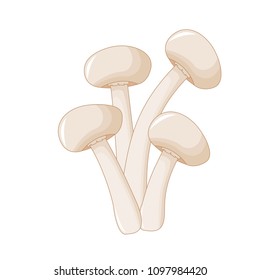 Illustration of different mushrooms champignon of different shapes. Vector mushrooms in cartoon style. Isolated on white background