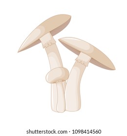 Illustration of different mushrooms champignon of different shapes. Vector mushrooms in cartoon style. Isolated on white background