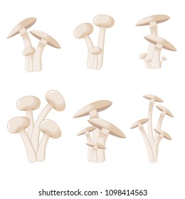 Illustration of different mushrooms champignon of different shapes. Vector mushrooms in cartoon style. Isolated on white background