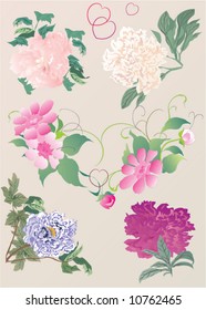 ilustración con diferentes flores de peonía
