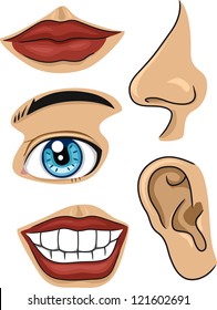 Part of Face Images, Stock Photos & Vectors  Shutterstock