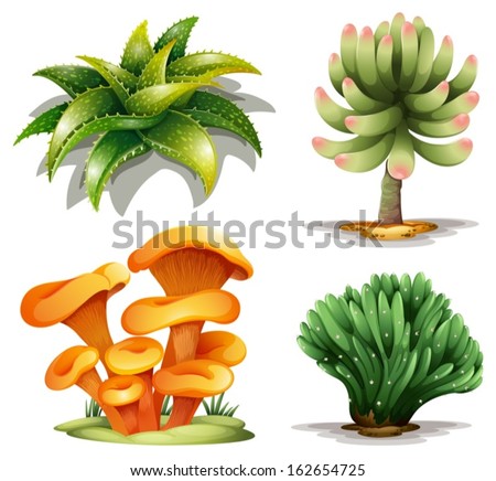 Illustration of the different plants on a white background Stock photo © 