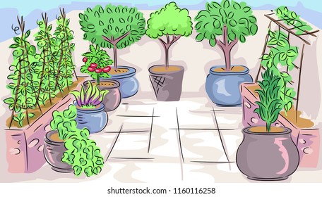 Illustration of Different Potted Plants in the Garden