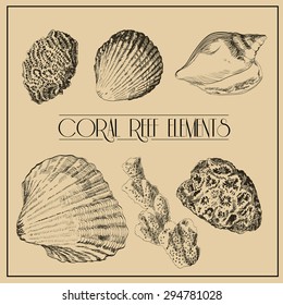 illustration with different realistic coral reef  elements. Hand drawing