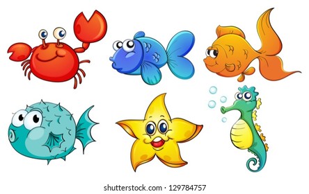 Illustration of the different sea creatures on a white background