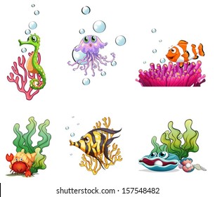 Illustration of the different sea creatures on a white background