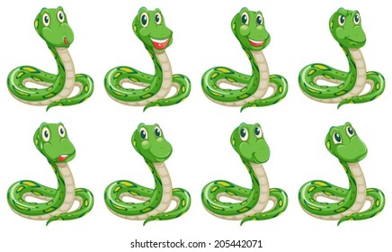 Illustration of the different snake expressions on a white background