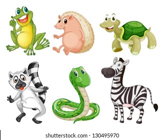 Illustration of the different species of animals on a white background