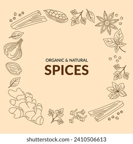 Illustration of different spices. Line art. Vector.