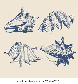 illustration with different stylized and blue seashells on a light background