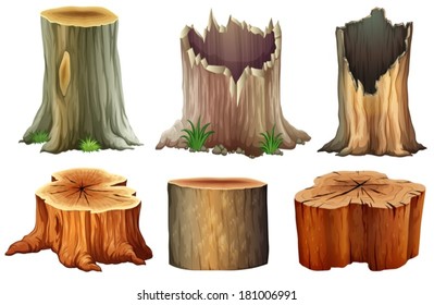 Illustration of the different tree stumps on a white background