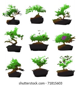 Illustration of different trees bonsai