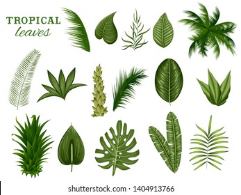 illustration of different tropical leaf for Summer time poster wallpaper for fun party invitation banner template