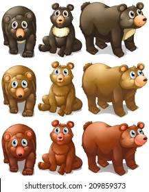 Illustration of different type of bears