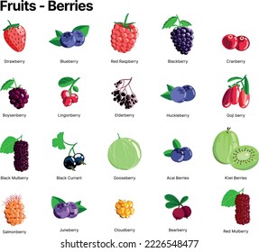 Illustration of different type of berries