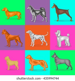 Illustration. Different type of dogs