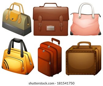 Illustration of the different types of bags on a white background