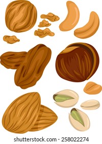 Illustration of Different Types of Nuts With a Few Cracked Open