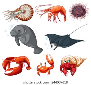 Illustration of different types of sea animals