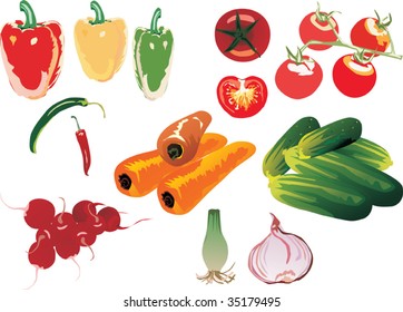 illustration with different vegetables collection isolated on white background