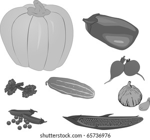 illustration with different vegetables collection isolated on white background