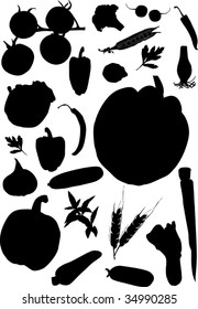 illustration with different vegetables silhouette collection isolated on white background