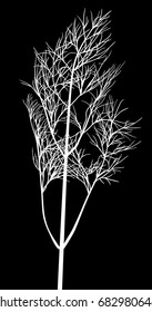 illustration with dill isolated on black background