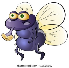 Illustration of a dirty housefly