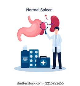 Illustration disease splenomegaly, healthy spleen