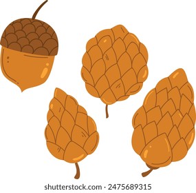 Illustration displaying acorn three pine cones. Brown acorn pine cones isolated white background artistic style. Autumnthemed botanical elements natural objects colored lines vector