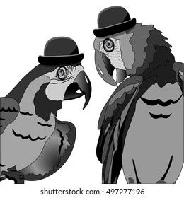 Illustration The Dispute of Two Parrots in Hat Bowler