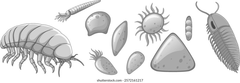 Illustration of diverse microscopic marine organisms