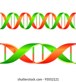 illustration of a dna string isolated on white background