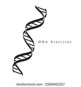 An illustration of DNA Structure, Very important organ of Human body, Vector Silhouette of body evolution