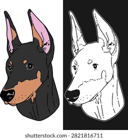 illustration of doberman dog head 