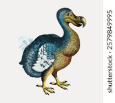 Illustration of a dodo bird, extinct dodo, colorful art. The dodo bird is shown in a detailed, vibrant style. bird illustration, extinct dodo art. Vintage bird illustration vector.