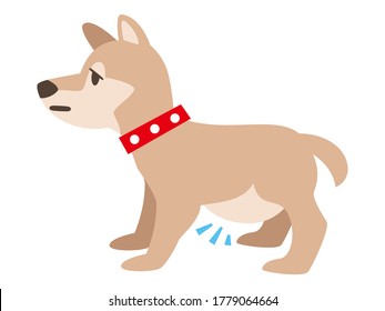 Illustration of a dog with ascites on a white background