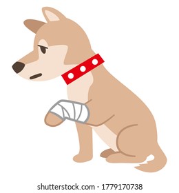 Illustration of a dog with a bandage on a white background svg