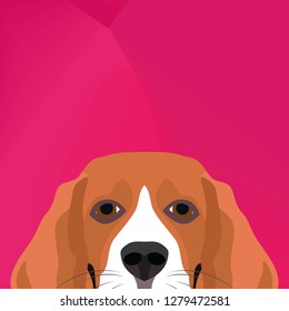 Illustration Dog beagle looking over wall for the creative use in graphic design